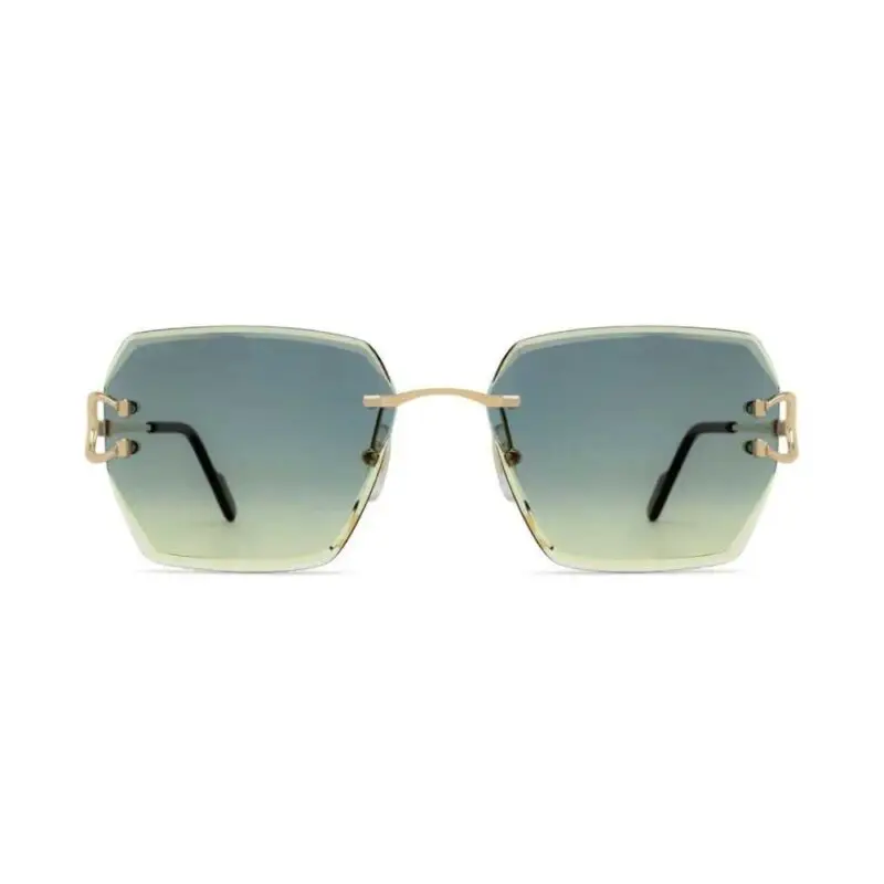 Cartier  CT 0466S 003