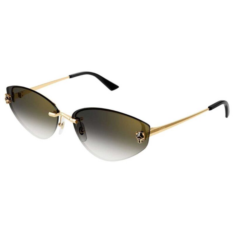 Cartier CT 0431S 001
