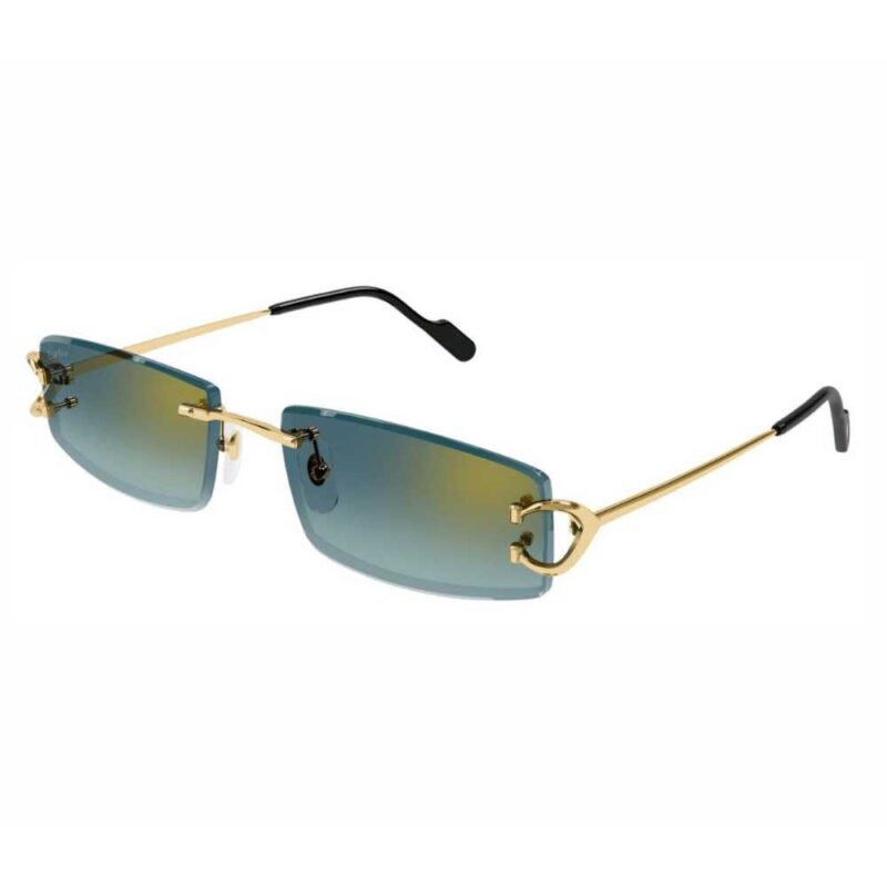 Cartier CT 0465S 003