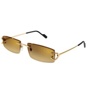 Cartier CT 0465S 004