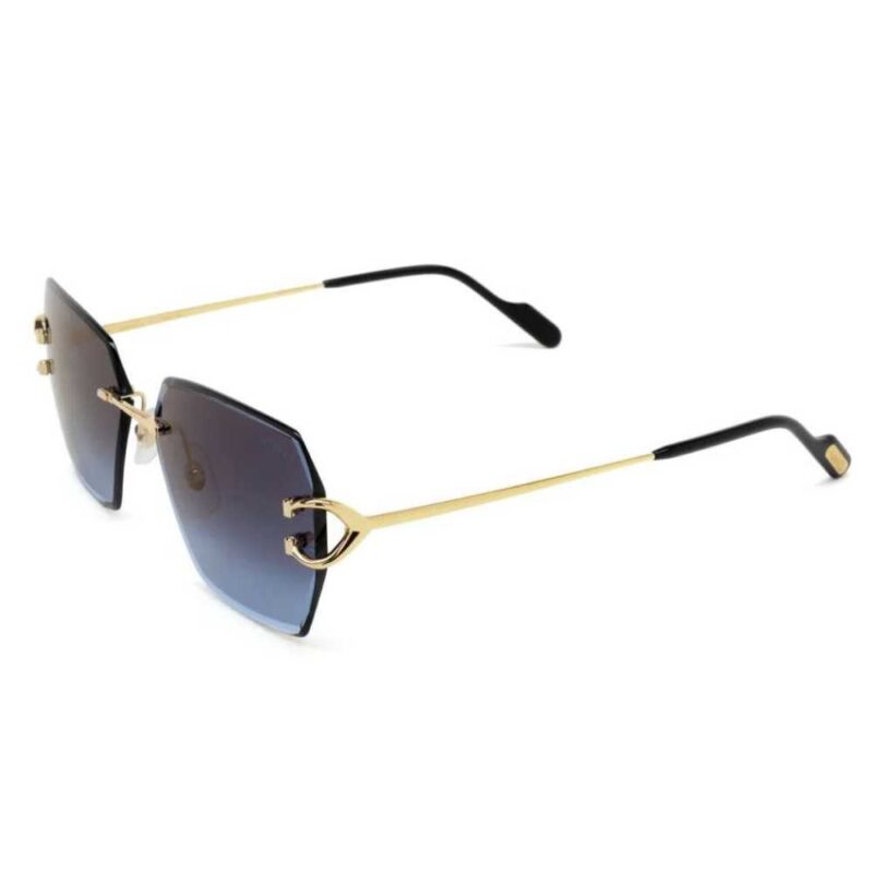 Cartier CT 0466S 002