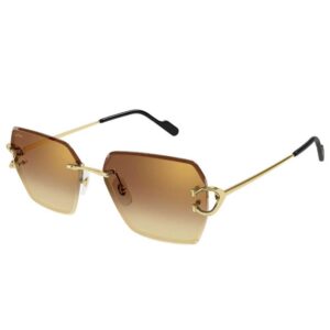 Cartier CT 0466S 004