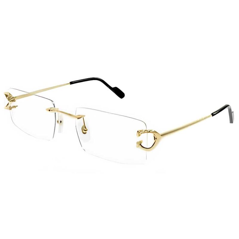 Cartier CT 0488O 001