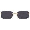 Cartier CT 0503S 001