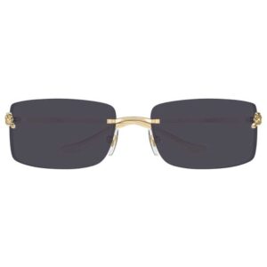 Cartier CT 0503S 001