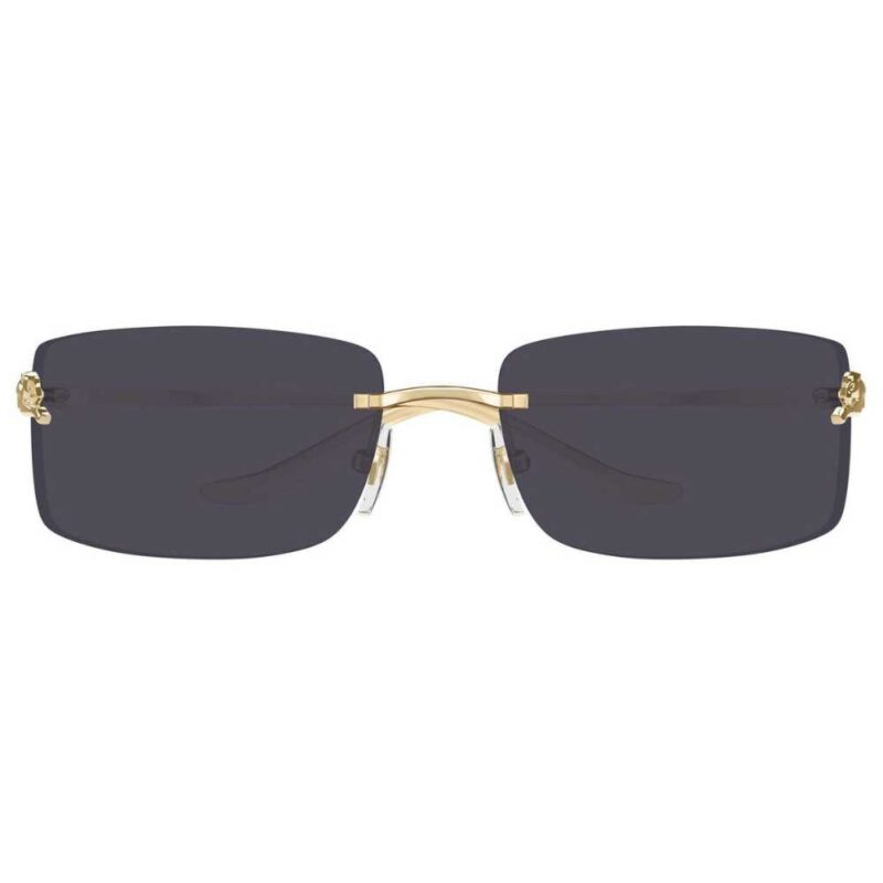 Cartier CT 0503S 001