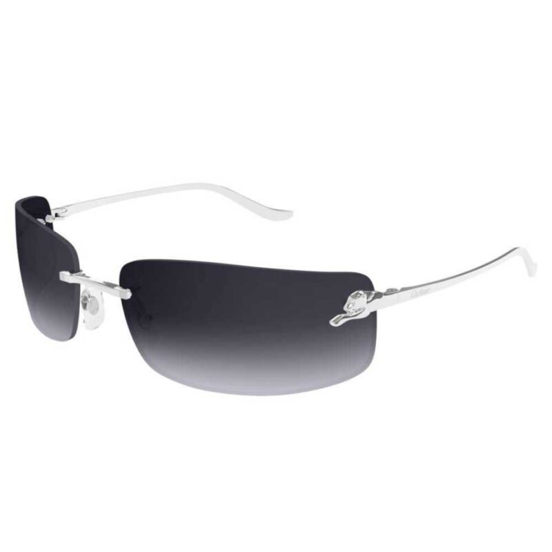 Cartier CT 0503S 002