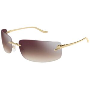 Cartier CT 0503S 003