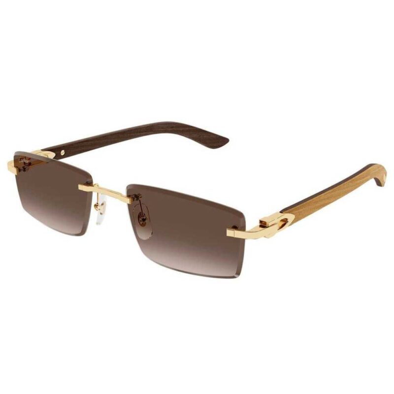CARTIER CT 0582S 003
