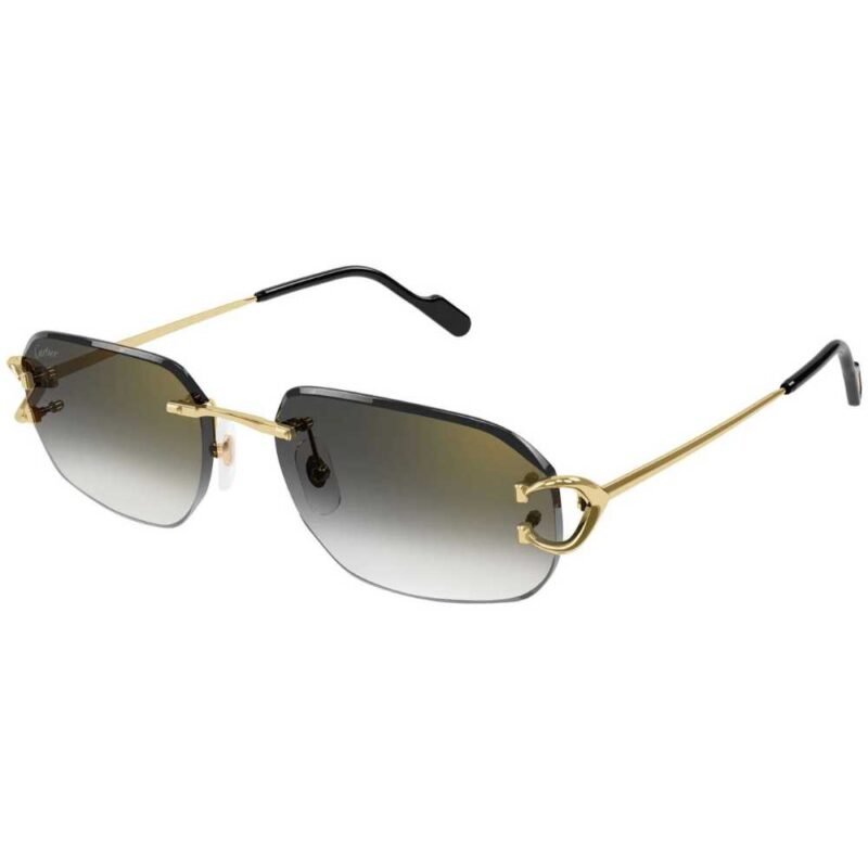Cartier CT-0468s 001