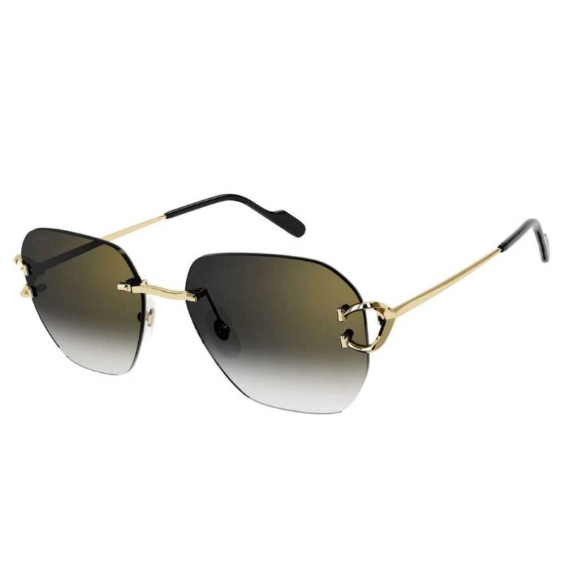 Cartier CT 0394S 001