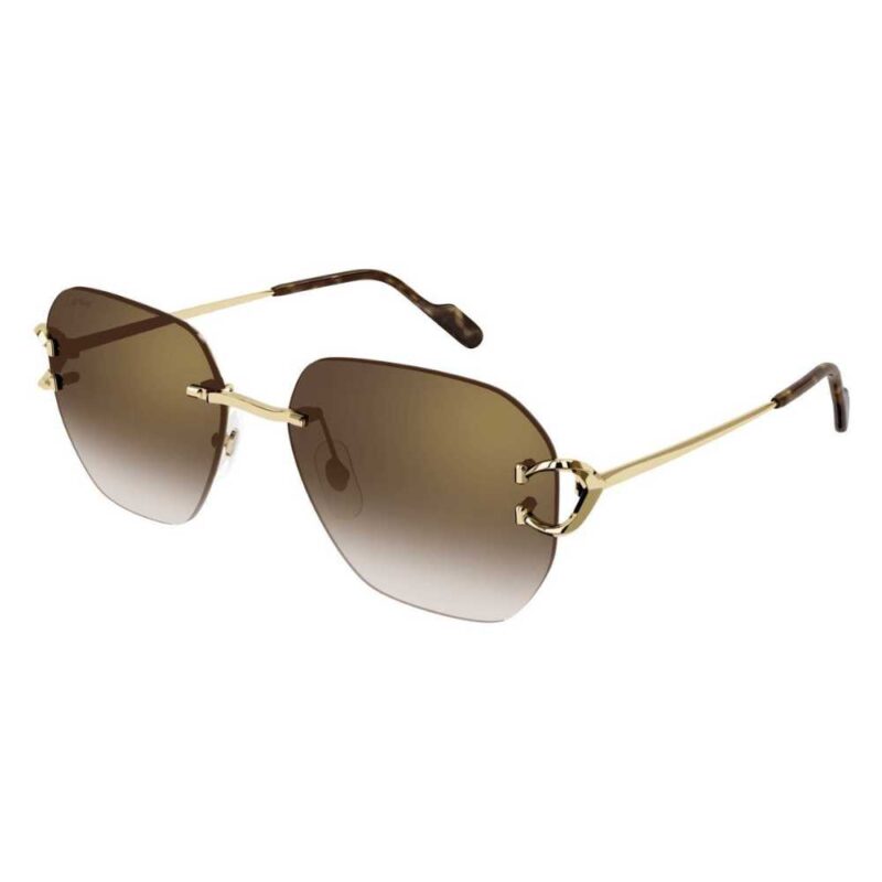 Cartier CT 0394S 002