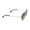 Cartier  CT 0466S 003