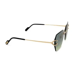 Cartier  CT 0466S 003