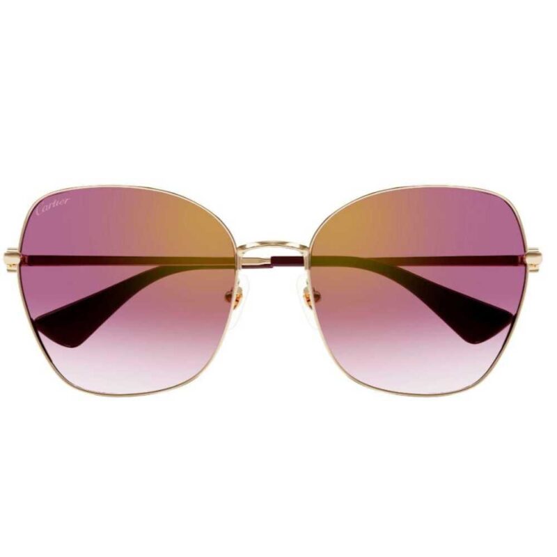 Cartier CT 0402S 003