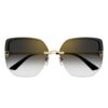Cartier CT 0432S 001