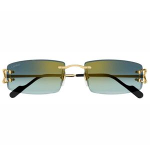 Cartier CT 0465S 003 