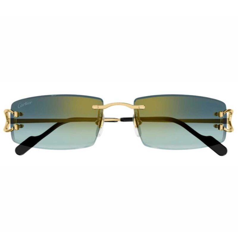 Cartier CT 0465S 003