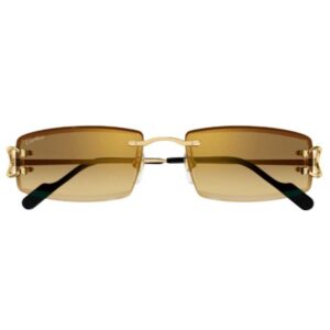 Cartier CT 0465S 004