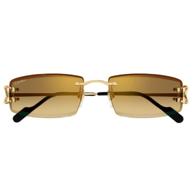 Cartier CT 0465S 004