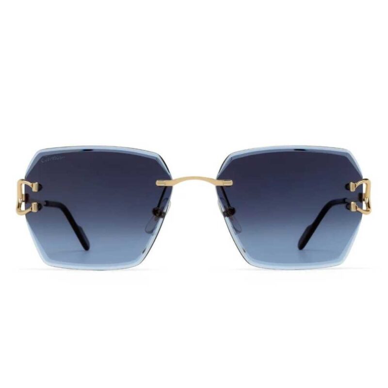 Cartier CT 0466S 002