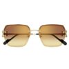 Cartier CT 0466S 004 Cartier CT 0466S 004
