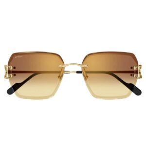 Cartier CT 0466S 004