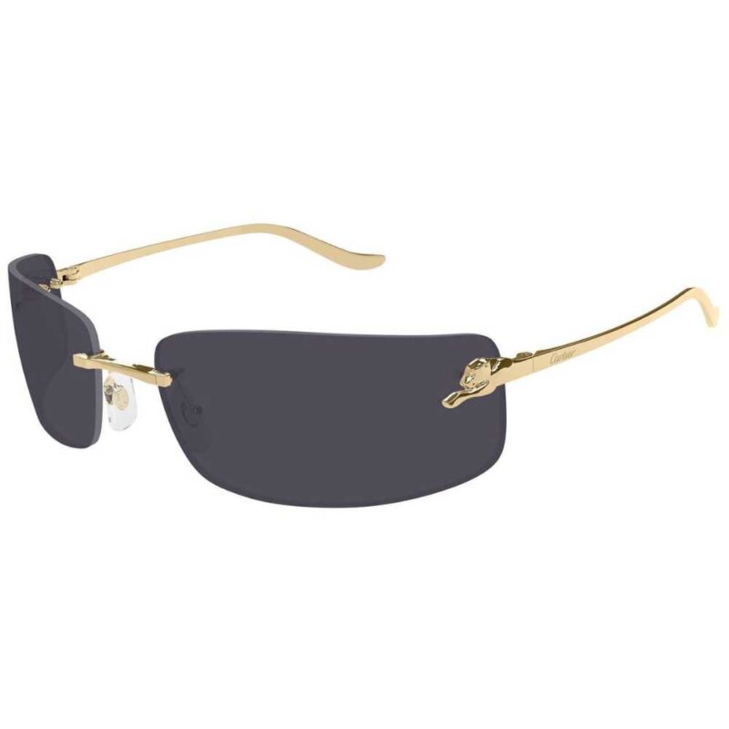 Cartier CT 0503S 001