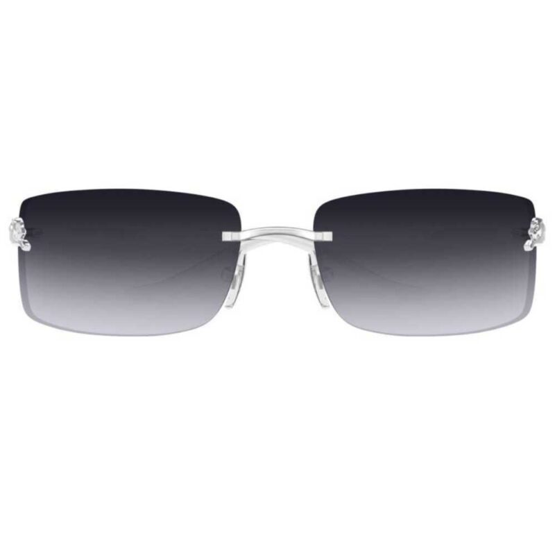 Cartier CT 0503S 002