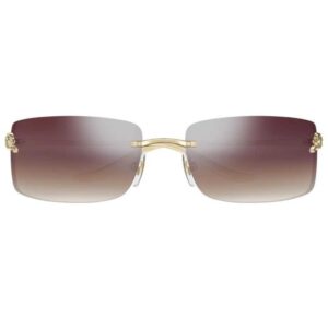 Cartier CT 0503S 003