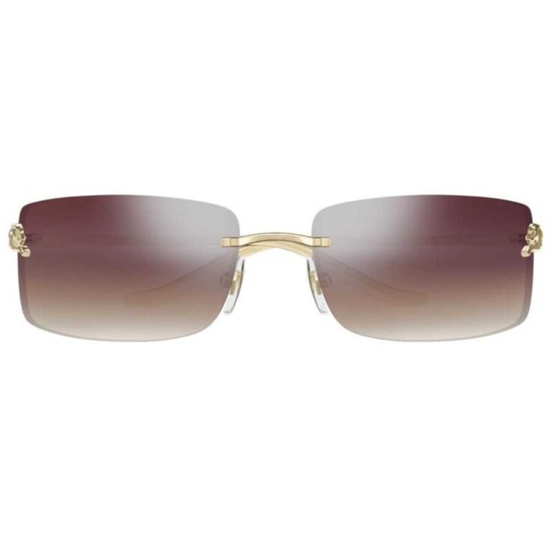 Cartier CT 0503S 003 Cartier CT 0503S 003