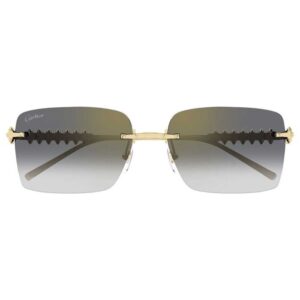 CARTIER CT 0545S 001