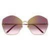 Cartier CT 0356S 003