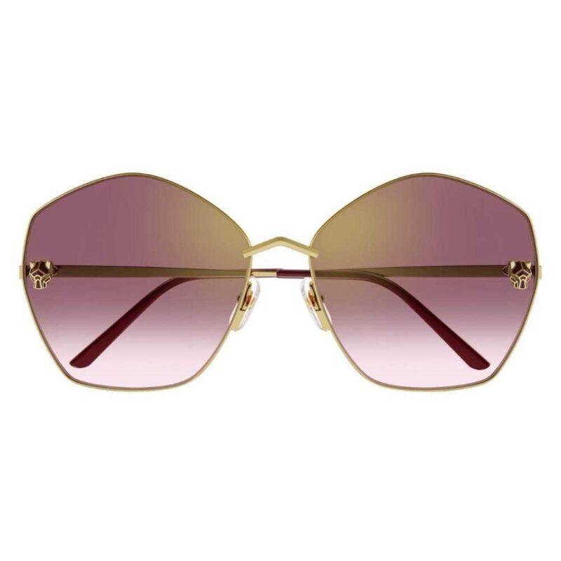 Cartier CT 0356S 003