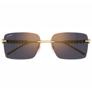 CARTIER CT 0545S 003