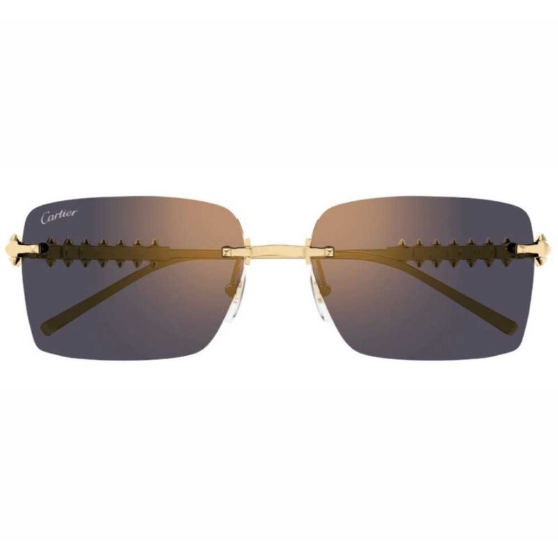 CARTIER CT 0545S 003