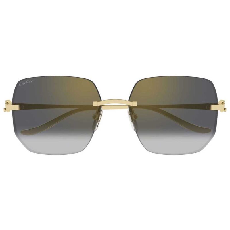 Cartier CT 0549S 001