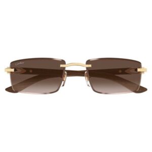 CARTIER CT 0582S 003