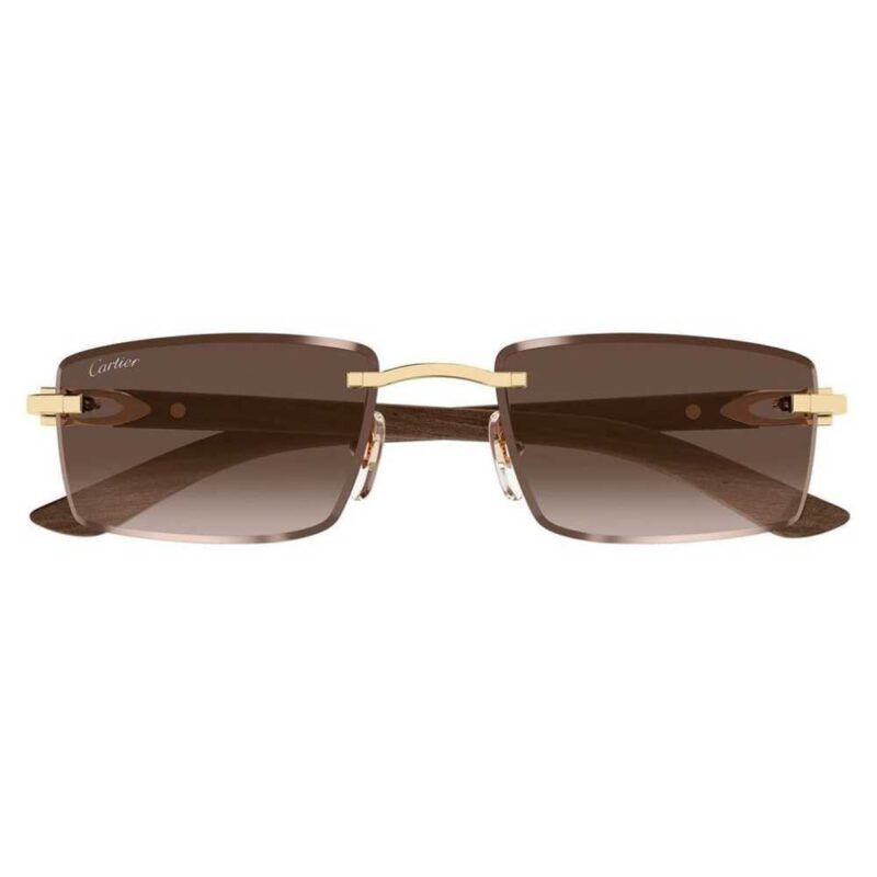 CARTIER CT 0582S 003