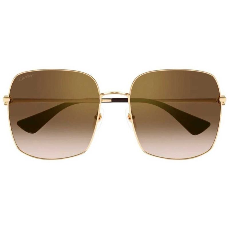 Cartier CT-0401s 002