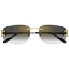 Cartier CT-0468s 001