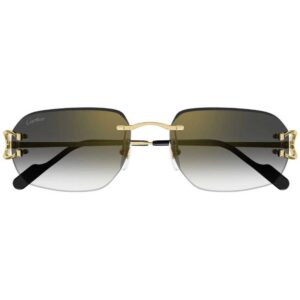 Cartier CT-0468s 001