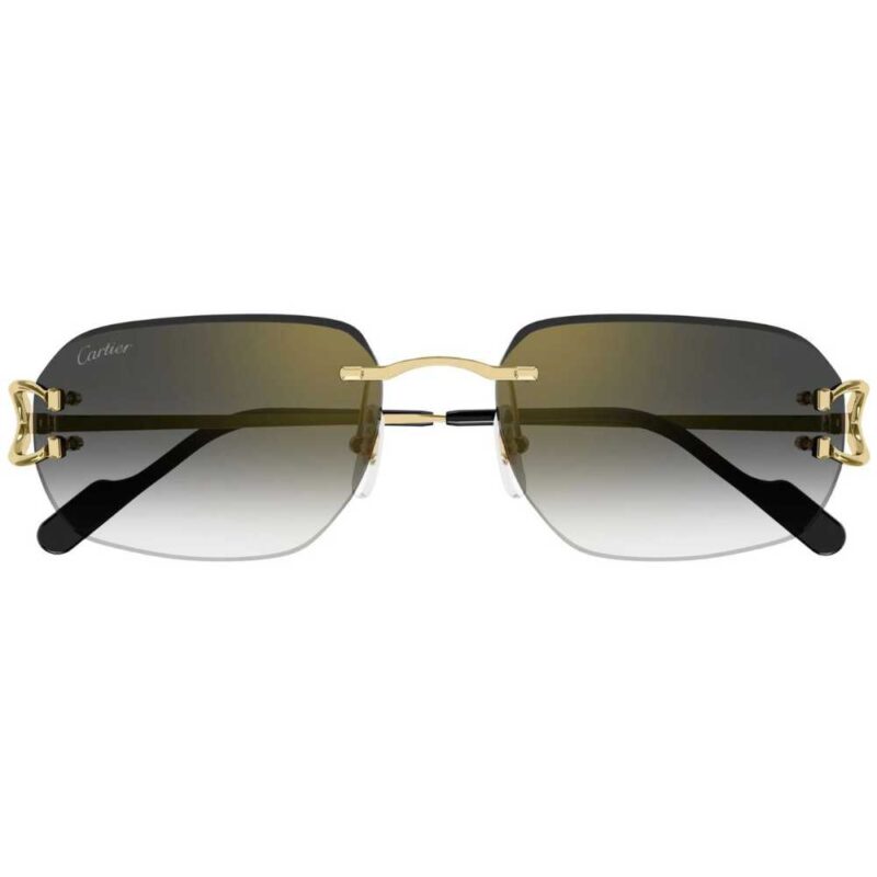Cartier CT-0468s 001