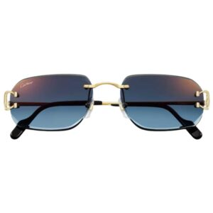 Cartier CT-0468S 002