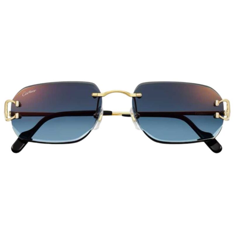 Cartier CT-0468S 002