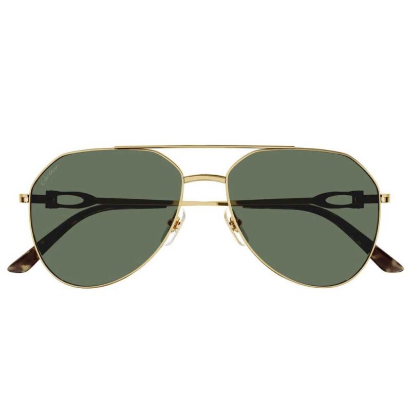 Cartier CT 0364S 002