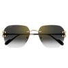 Cartier CT 0394S 001