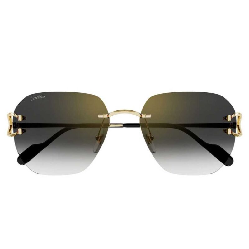 Cartier CT 0394S 001