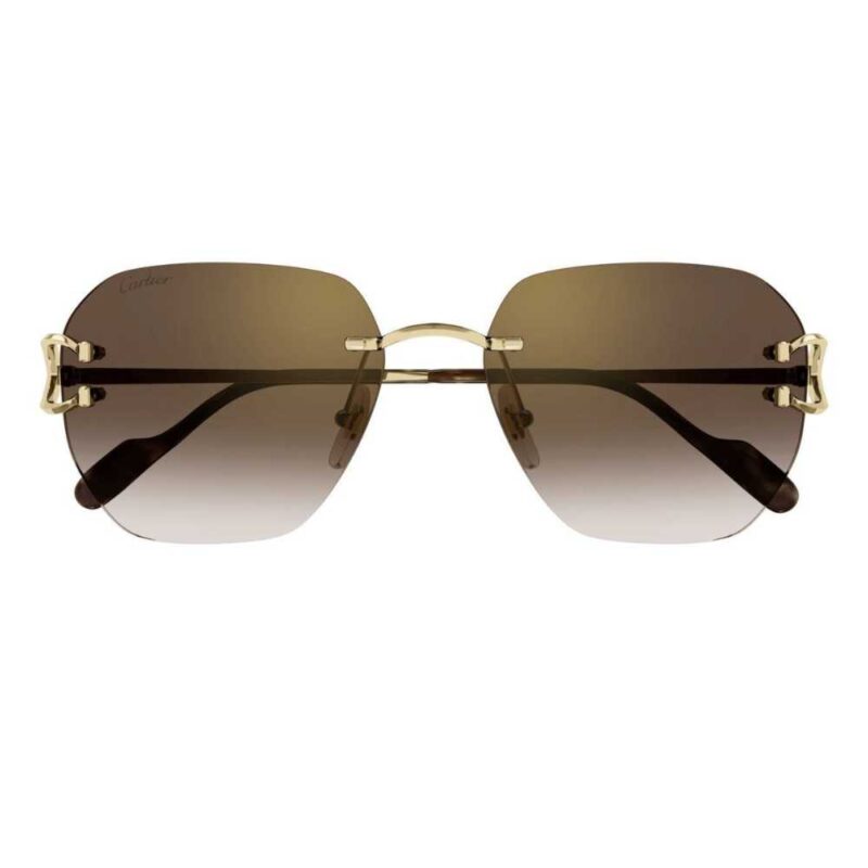 Cartier CT 0394S 002