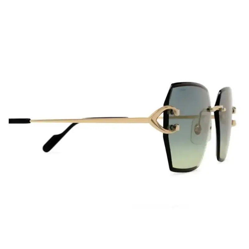 Cartier  CT 0466S 003
